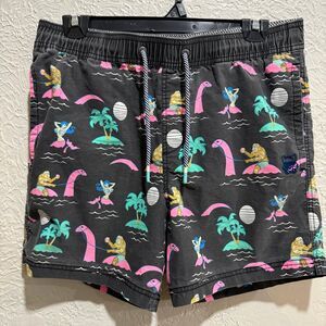 Party Pants Men’s Neon Dinosaur Beerlieve Print Swim Trunks Board Shorts Medium
